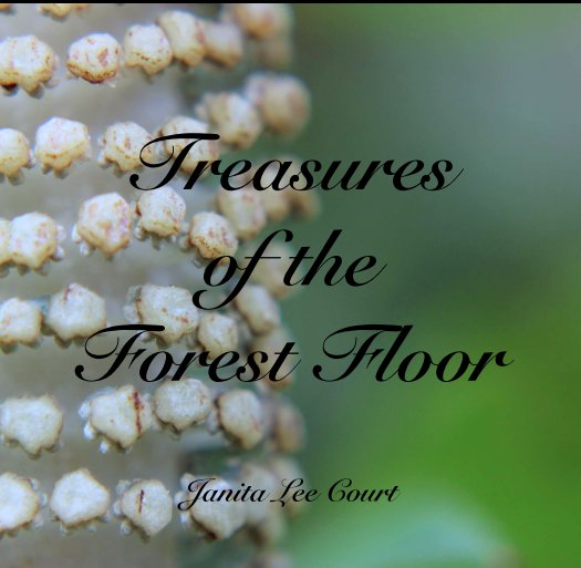 View Treasures 
of the 
Forest Floor by Janita Lee Court