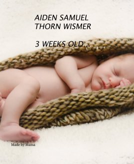 AIDEN SAMUEL THORN WISMER 3 WEEKS OLD... book cover