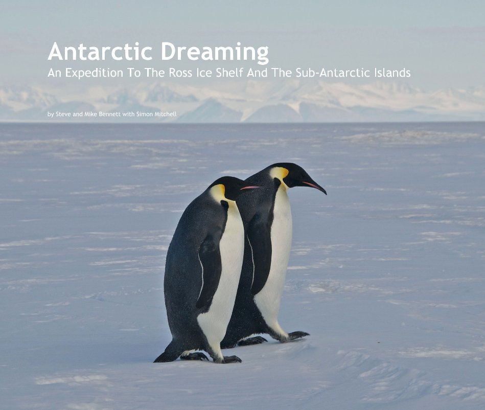 Visualizza Antarctic Dreaming di Steve Bennett