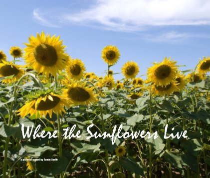 Where the Sunflowers Live book cover