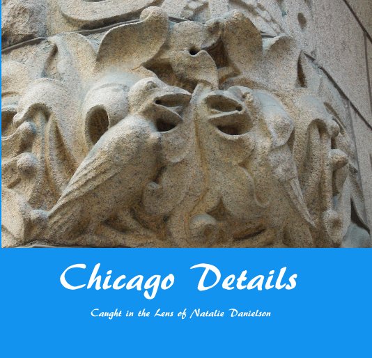 View Chicago Details by Caught in the lens of Natalie Danielson