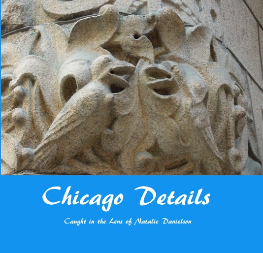 Chicago Details nach Caught in the lens of Natalie Danielson anzeigen