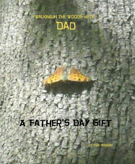 Walking in the Woods with Dad book cover