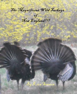 The Magnificent Wild Turkeys of New England!!! book cover