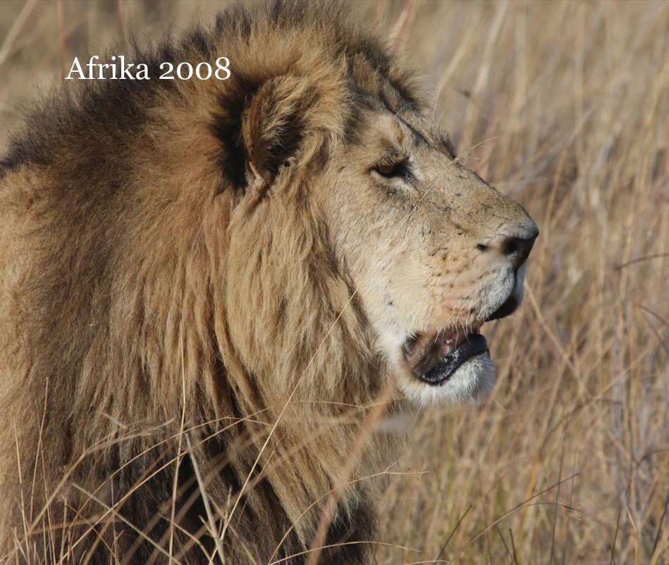 Ver Afrika 2008 por Wolfgang Schmitzberger