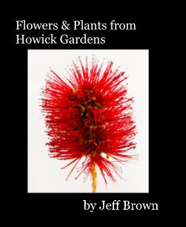 Flowers & Plants from Howick Gardens book cover