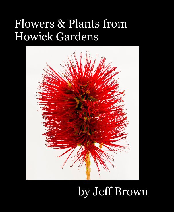 View Flowers & Plants from Howick Gardens by Jeff Brown