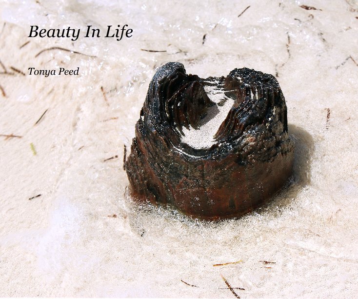 View Beauty In Life by Tonya Peed