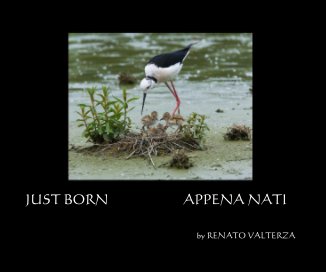 JUST BORN    APPENA NATI book cover