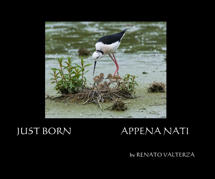 View JUST BORN    APPENA NATI by RENATO VALTERZA