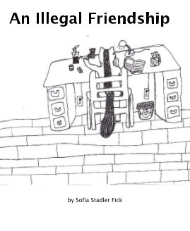 An Illegal Friendship book cover