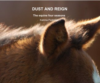 DUST AND REIGN book cover
