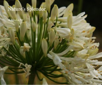 Nature's Splendor book cover