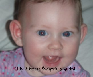 Lilly Elżbieta Świątek: 365 dni book cover