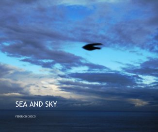 SEA AND SKY book cover