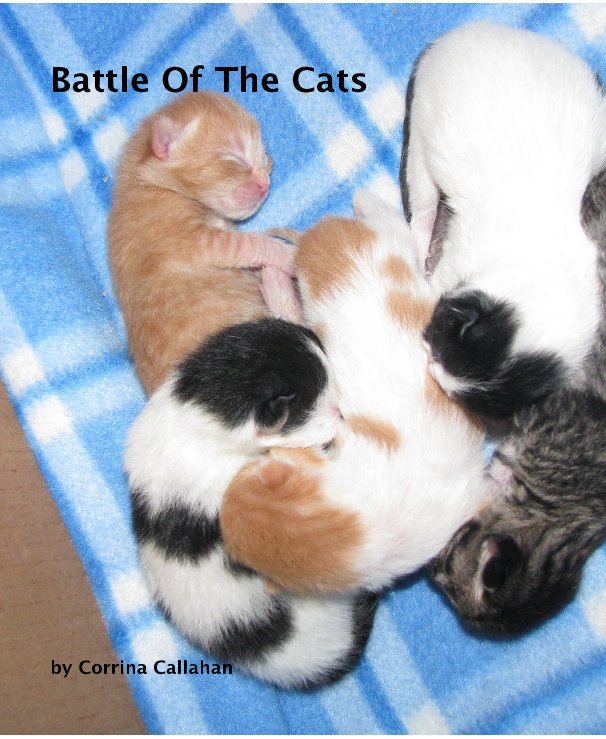 View Battle Of The Cats by Corrina Callahan