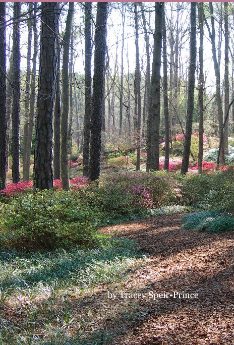 Ver My Special Dates por Tracey Speir-Prince