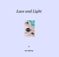 Lace and Light book cover