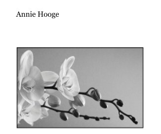 Annie Hooge book cover