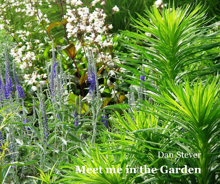 View Meet me in the Garden by Dan Stever