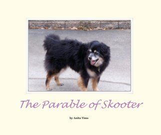 The Parable of Skooter book cover