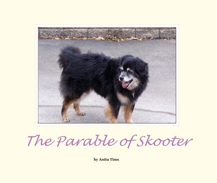 Bekijk The Parable of Skooter op Anita Tims