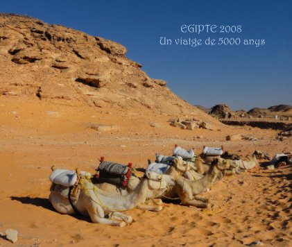 EGIPTE 2008 Un viatge de 5000 anys book cover