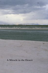 A Miracle in the Desert book cover