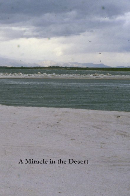 View A Miracle in the Desert by Mark Campbell