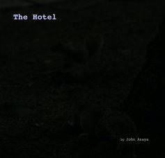 The Hotel book cover