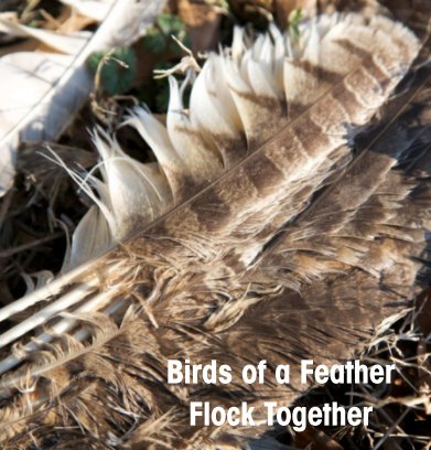 Birds of a Feather Flock Together book cover