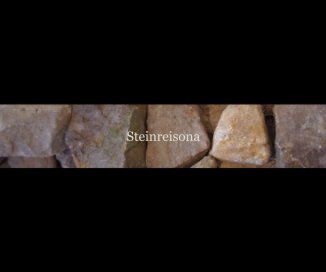 Steinreisona book cover