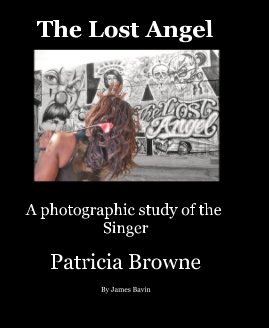 The Lost Angel book cover