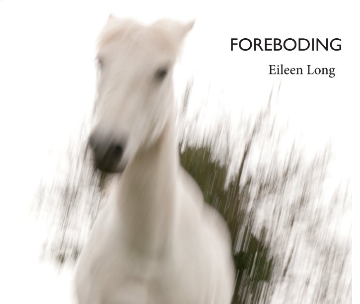 View FOREBODING by Eileen Long