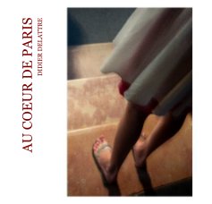 AU COEUR DE PARIS DIDIER DELATTRE book cover