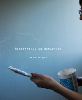 Meditations On Departure book cover