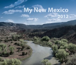 New Mexico Workshop book cover