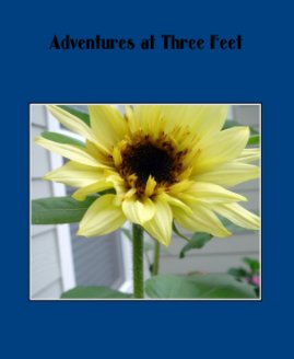 Adventures at Three Feet book cover