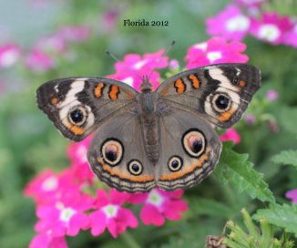 Florida 2012 book cover