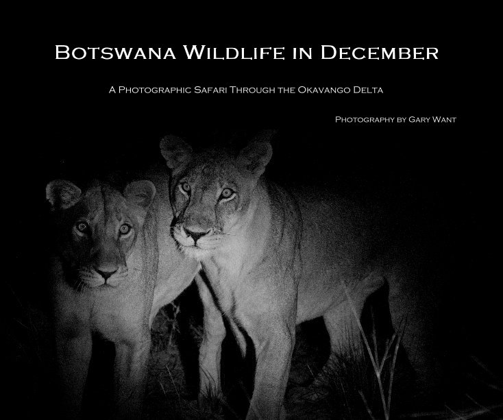 View Botswana Wildlife in December by Photography by Gary Want