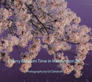 Cherry Blossom Time in Washington DC book cover