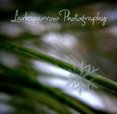 Larksparrow Photography book cover
