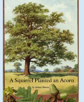 A Squirrel Planted an Acorn book cover