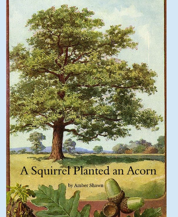 Ver A Squirrel Planted an Acorn por Amber S. Higgins