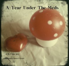 A Year Under The Meds book cover