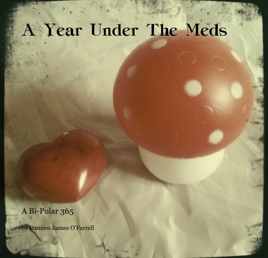 View A Year Under The Meds by Damien James O'Farrell