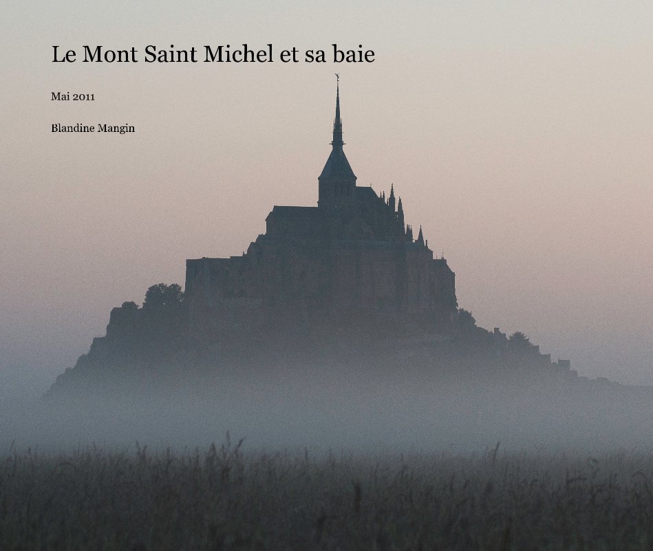 View le mont et sa baie 3 by Blandine Mangin