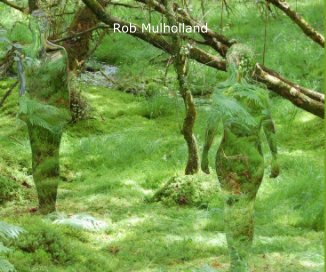 Rob Mulholland book cover