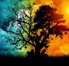 Night And DAY book cover