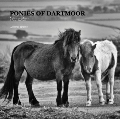 PONIES OF DARTMOOR A Life of Uncertainty; A Future in Crisis? by KATHY TIPPING book cover